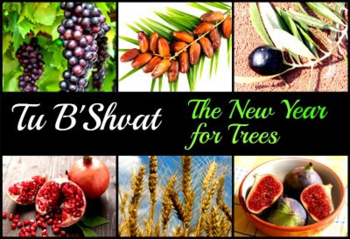 Celebrate the Birthday of the Trees for Tu b'Shevat Ithaca Area